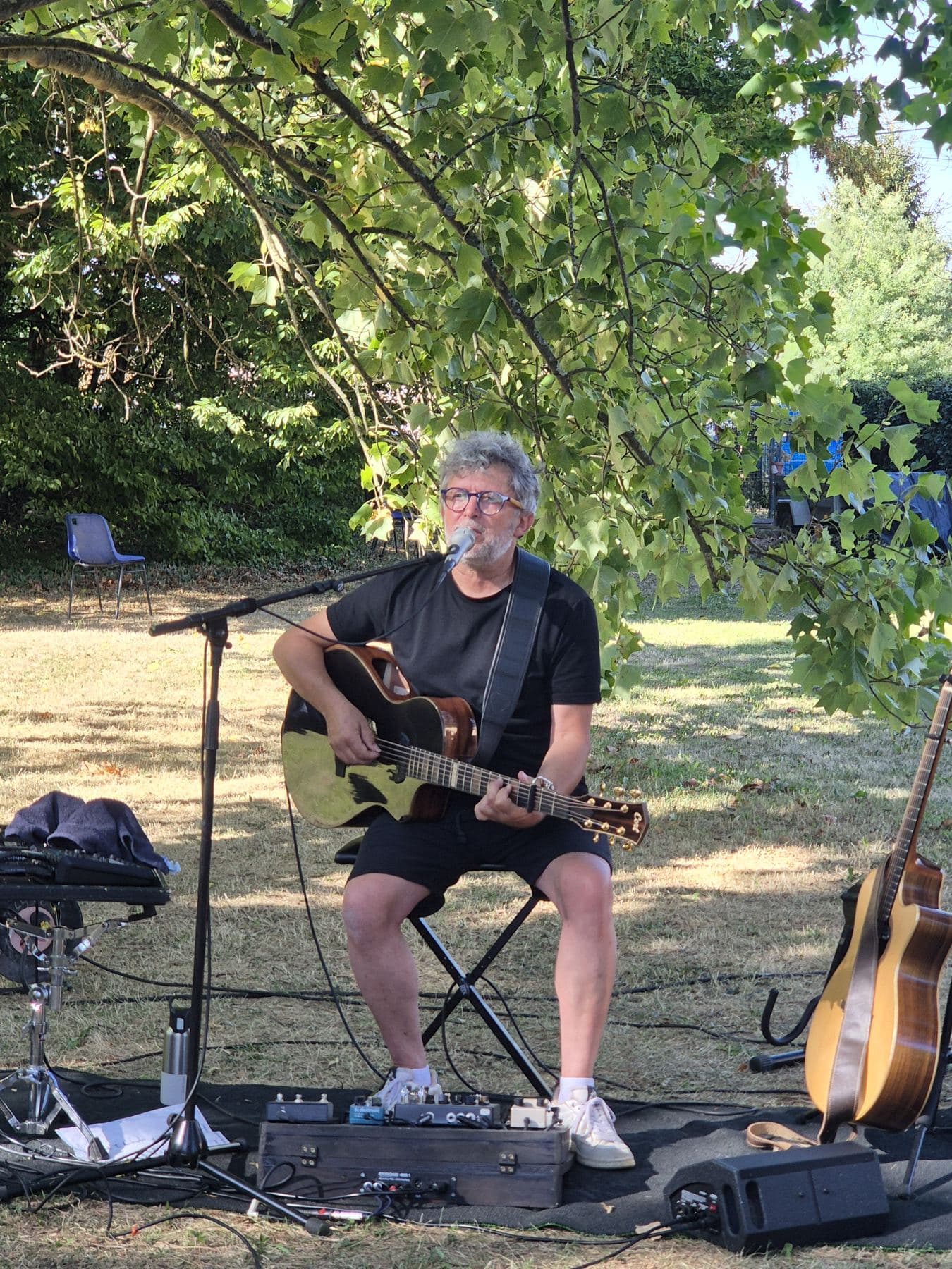 Tibert, guitare à la main, chante au micro sous les branches d’un platane